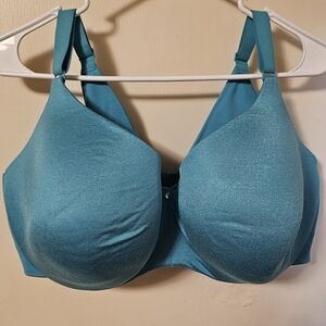 Cacique Aqua Blue Bra 42G